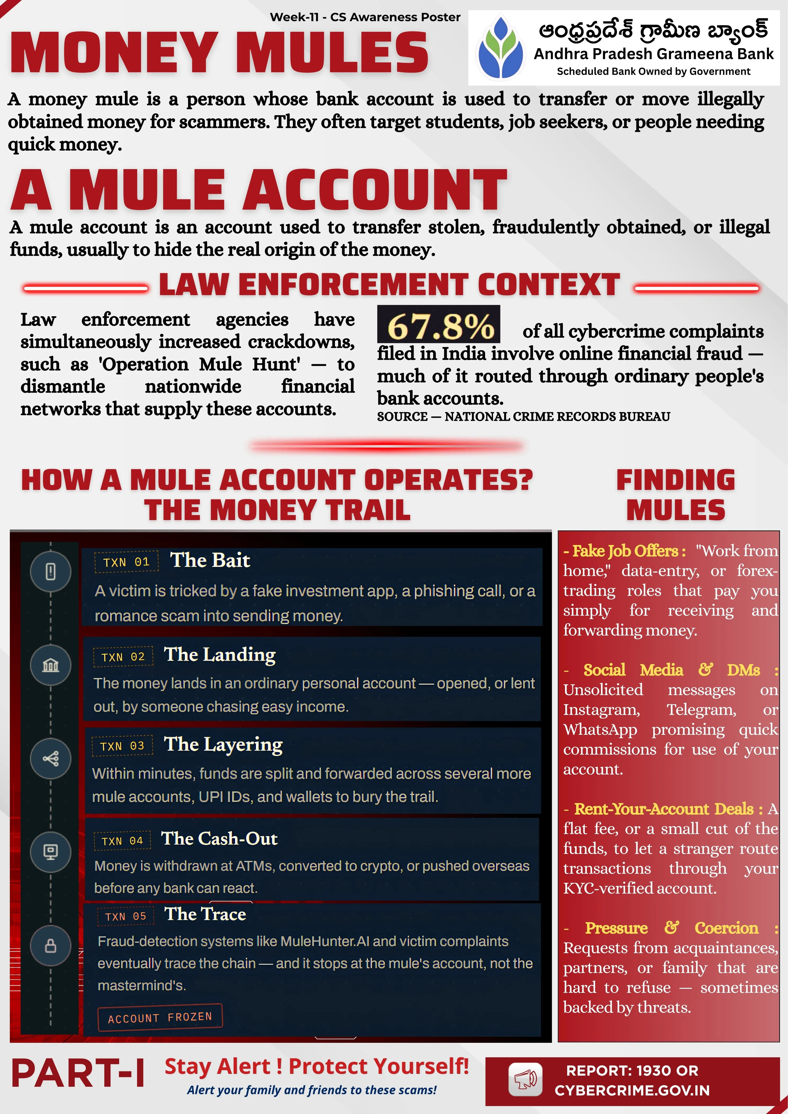 Week 11 - Mule Account Part 1 English